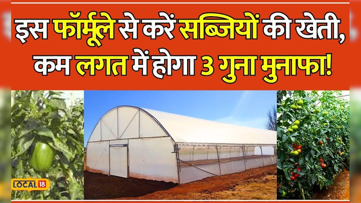 Farming Tips: इस टेक्नोलॉजी से किसान करें खेती होगा अछा मुनाफा! | Tunnel farming