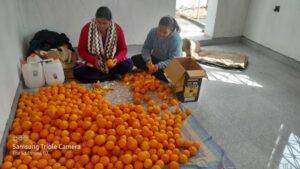 घर के काम के साथ फूड प्रोसेसिंग यूनिट संचालित कर अपनी आर्थिकी को मजबूत कर रही महिलाएं