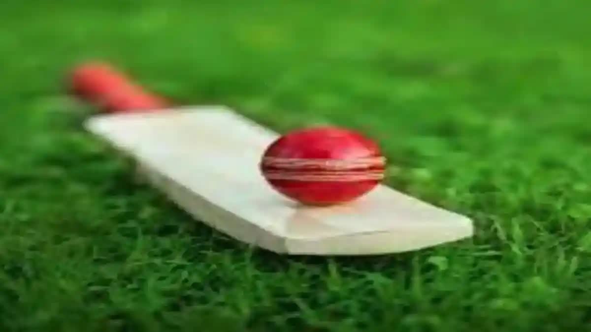 WATCH : क्रिकेट खेलते समय प्राइवेट पार्ट पर गेंद लगने से लड़के की मौत, देखें दिल दहलाने वाला वीडियो – Boy died playing Cricket