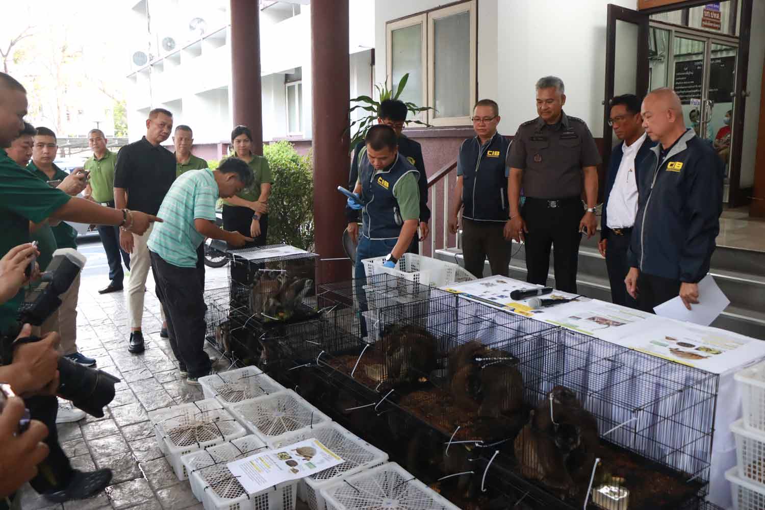 Seizure halts wildlife smuggling operation