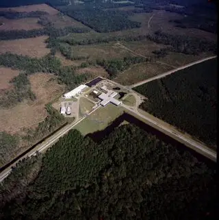 A building with two concrete paths extending out from it surrounded by green treetops