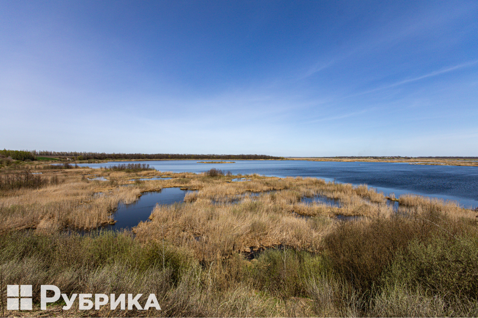 Citizen science in action: Discover eco-station in Ukraine where anyone can explore and research nature