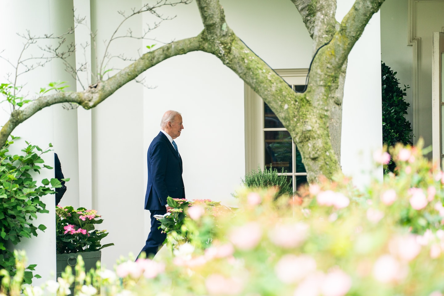 Biden touts new Microsoft AI center on site of Trump’s failed Foxconn deal