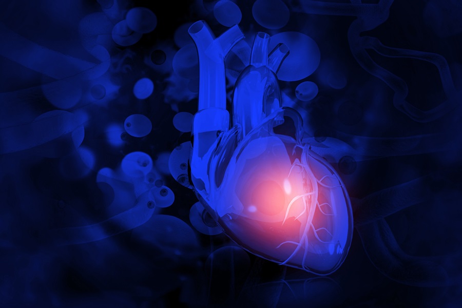 Artificial Intelligence Broadens Diagnostic Abilities of Conventional Coronary Angiography