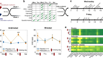 Active self-treatment of a facial wound with a biologically active plant by a male Sumatran orangutan