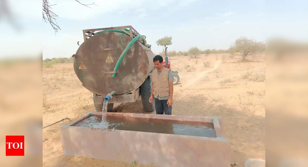 People, BSF jawans help quench thirst of wild animals | Jaipur News