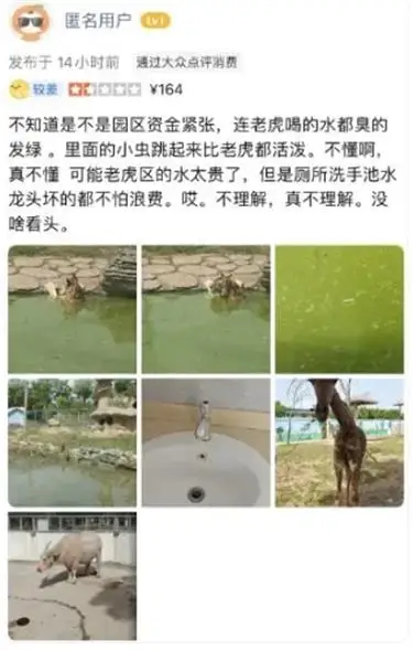 Authorities investigate Fuyang Wildlife Park after animal deaths report