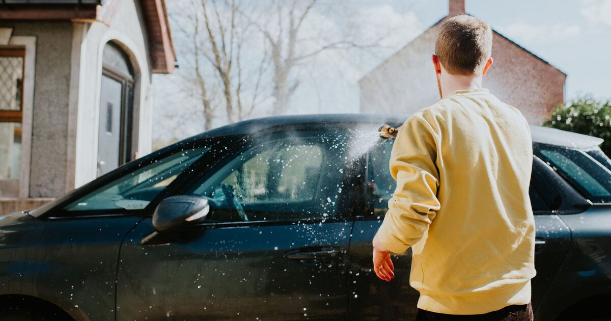 Three steps to pollen-proof your car in spring – including easy ‘floor mat’ tip