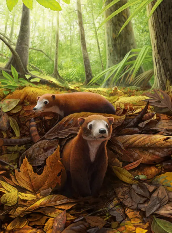 Life reconstruction of Militocodon lydae. Image credit: Denver Museum of Nature & Science.