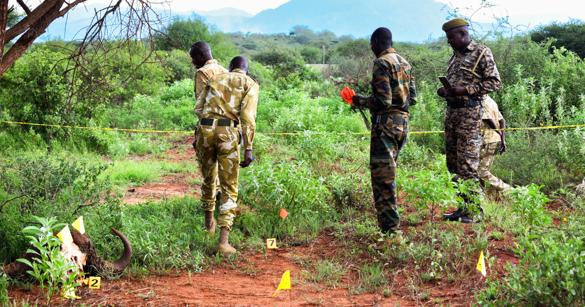 Forensics training for rangers curbs wildlife crime in Kenya