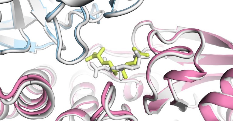 Major AlphaFold upgrade offers boost for drug discovery