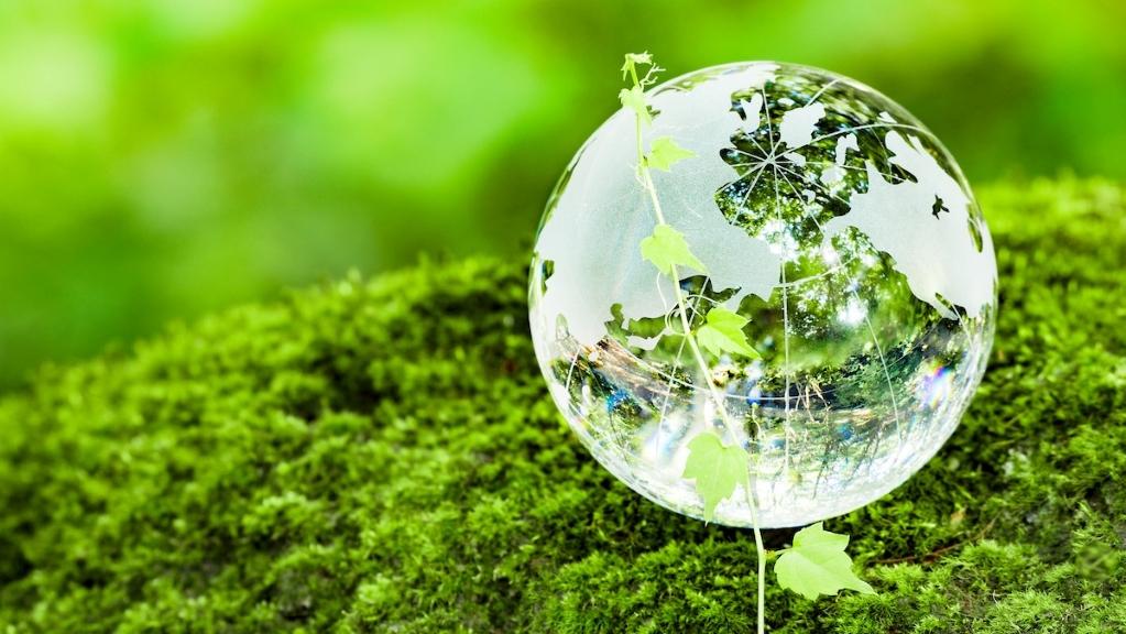 Soaring toward a more sustainable future of travel in Seattle
