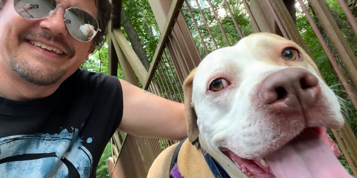 A Pawesome journey: Midlands Family travels 400 miles to Lexington, Kentucky to adopt their dog