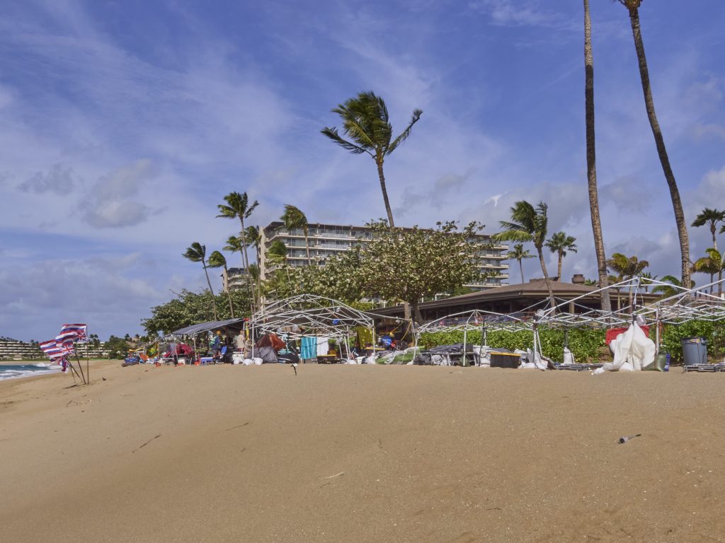 Catherine Toth Fox: Travel —And Spend — Wisely When Going To Maui