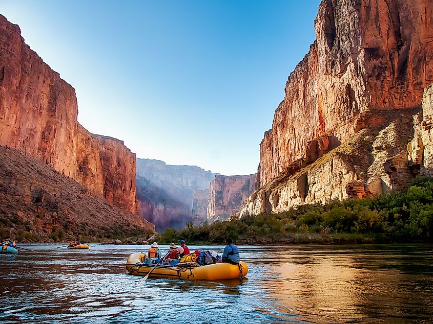 8 Best Destinations For Wildlife Spotting in Arizona