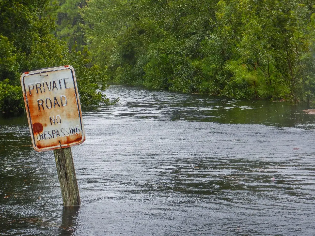 A road leading to a private residence in Sea Level in Down East Carteret County is flooded in the aftermath of Tropical Storm Idalia in 2023. Photo: Dylan Ray