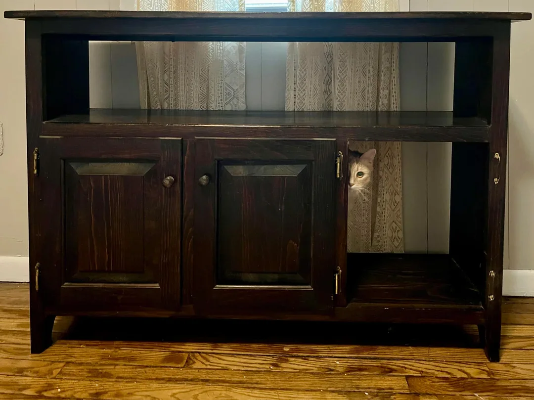 A DIY hack turned an ugly, old TV stand into a hidden ladies’ room for her cats