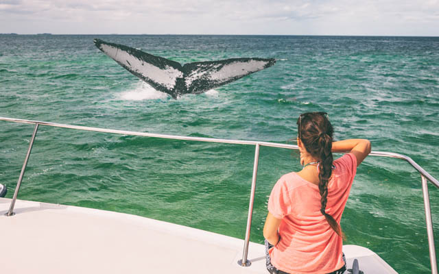 Trip.com Group, Rezdy team up to widen travel offerings