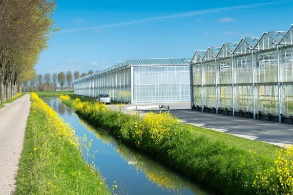 NL: HortiScience Innovation Center (HIC) launches