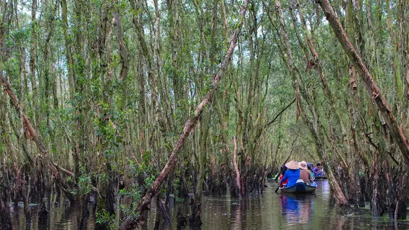 Tra Su Forest and Sanctuary