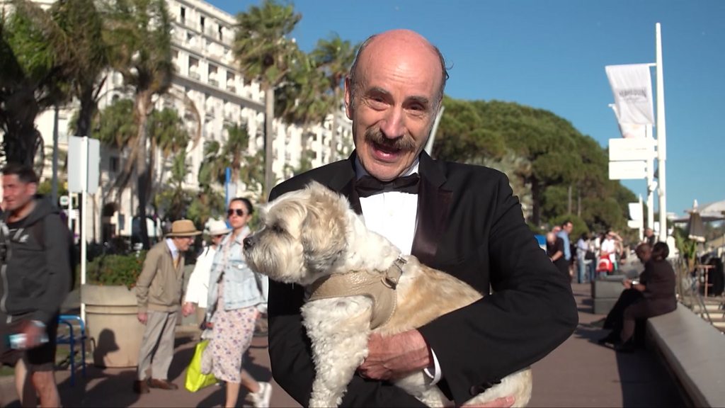 The celebrity dogs of Cannes