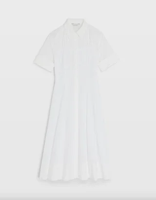 Club Monaco Shirt Dress