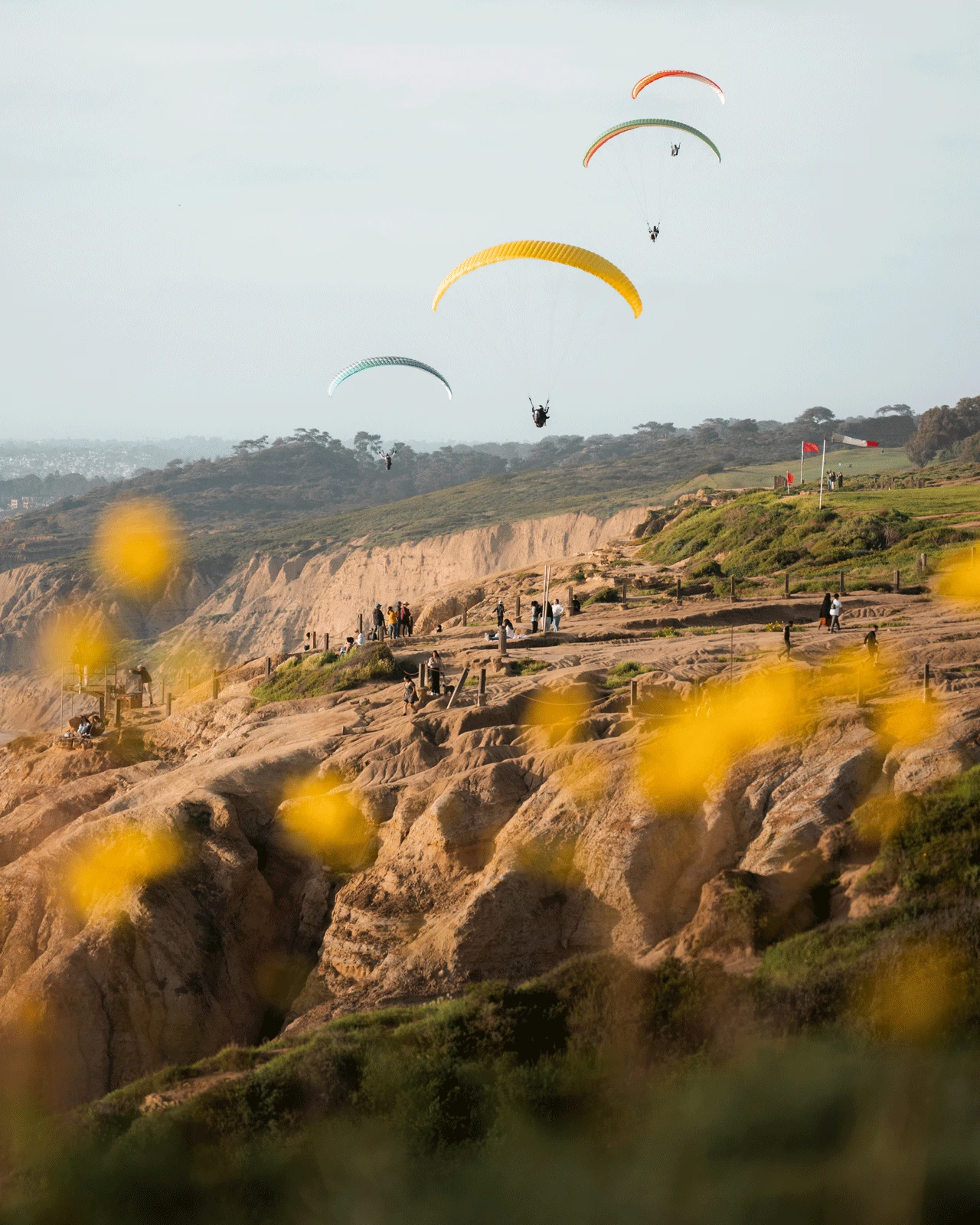 Paragliders soar above a rugged coastal cliff adorned with patches of bright yellow wildflowers. Several people stand on the viewpoint admiring the view. The ocean and distant landscape create a scenic backdrop under a clear sky.