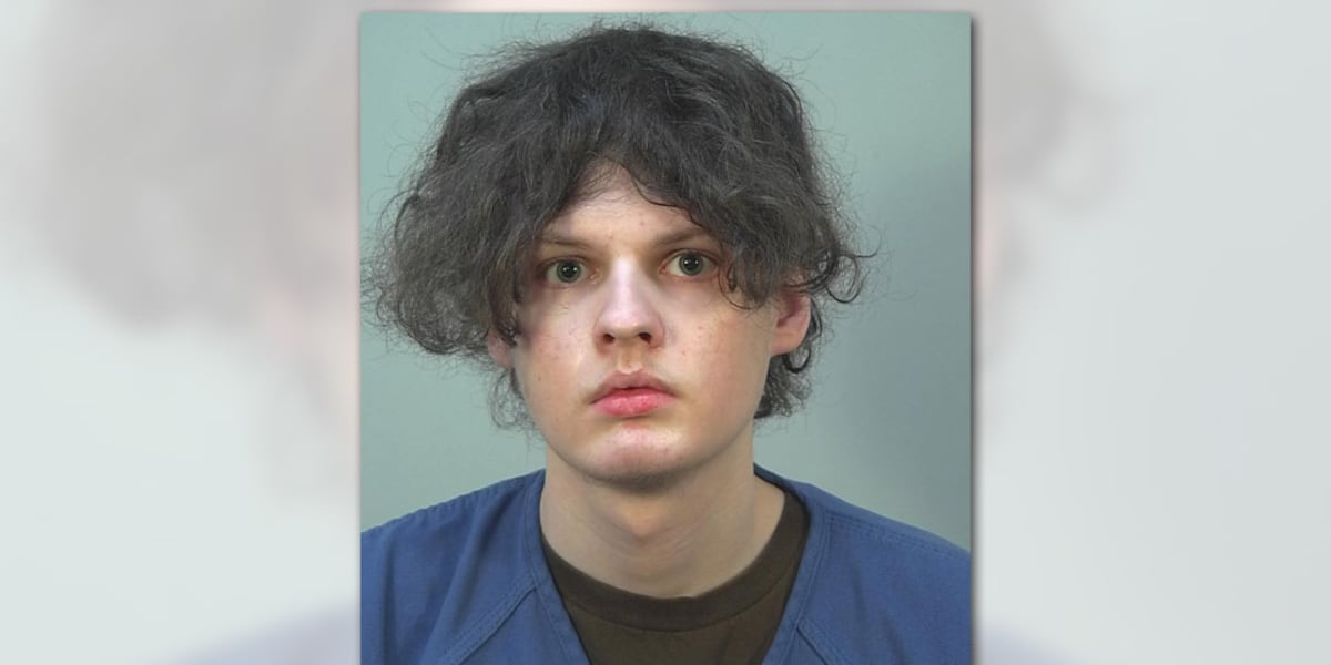 Gabriel Savage ordered to 30 years in mental health facility