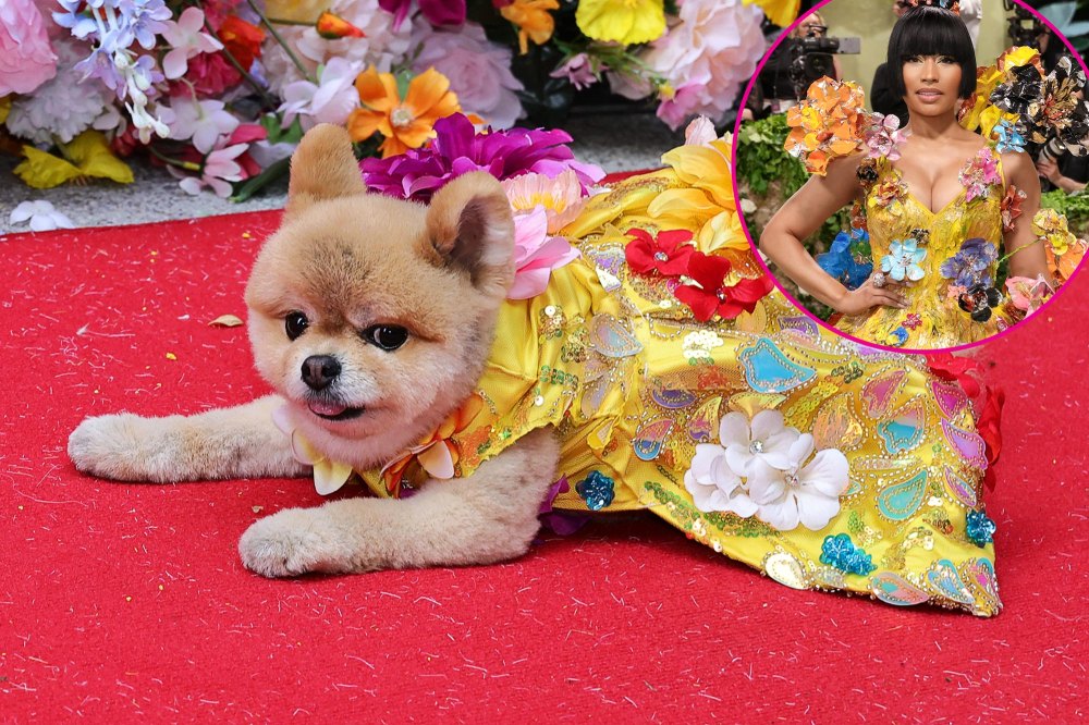 The Best Celebrity-Inspired Looks From the 2024 Pet Gala