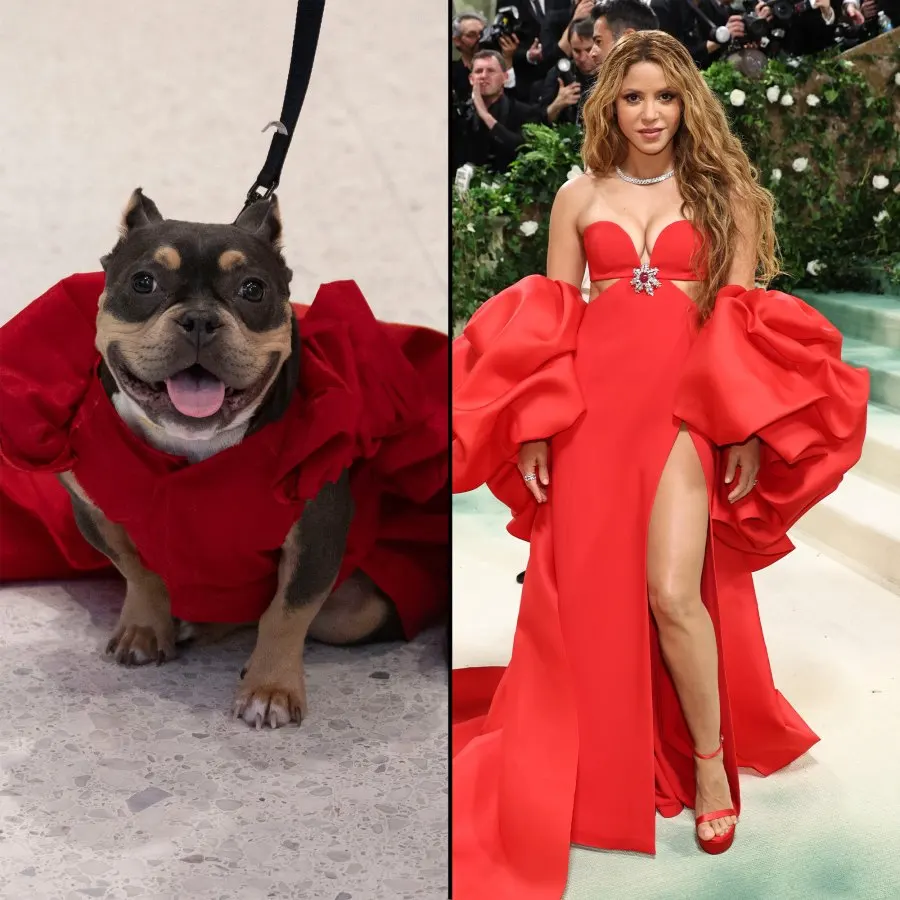 The Best Met Gala Recreations at the Pet Gala 331 Shakira