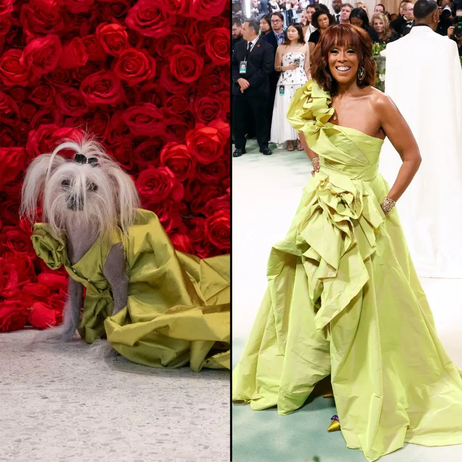 The Best Met Gala Recreations at the Pet Gala 332 Gayle King