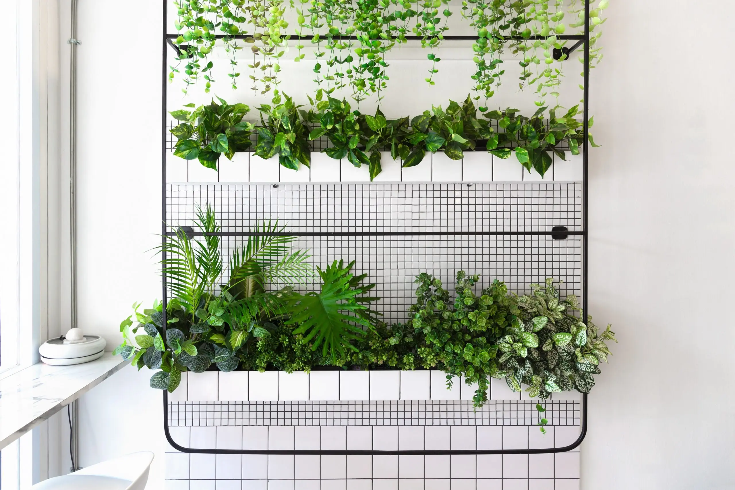 Create a herb plant wall in the kitchen (Shutterstock) Create a herb plant wall in the kitchen (Shutterstock)