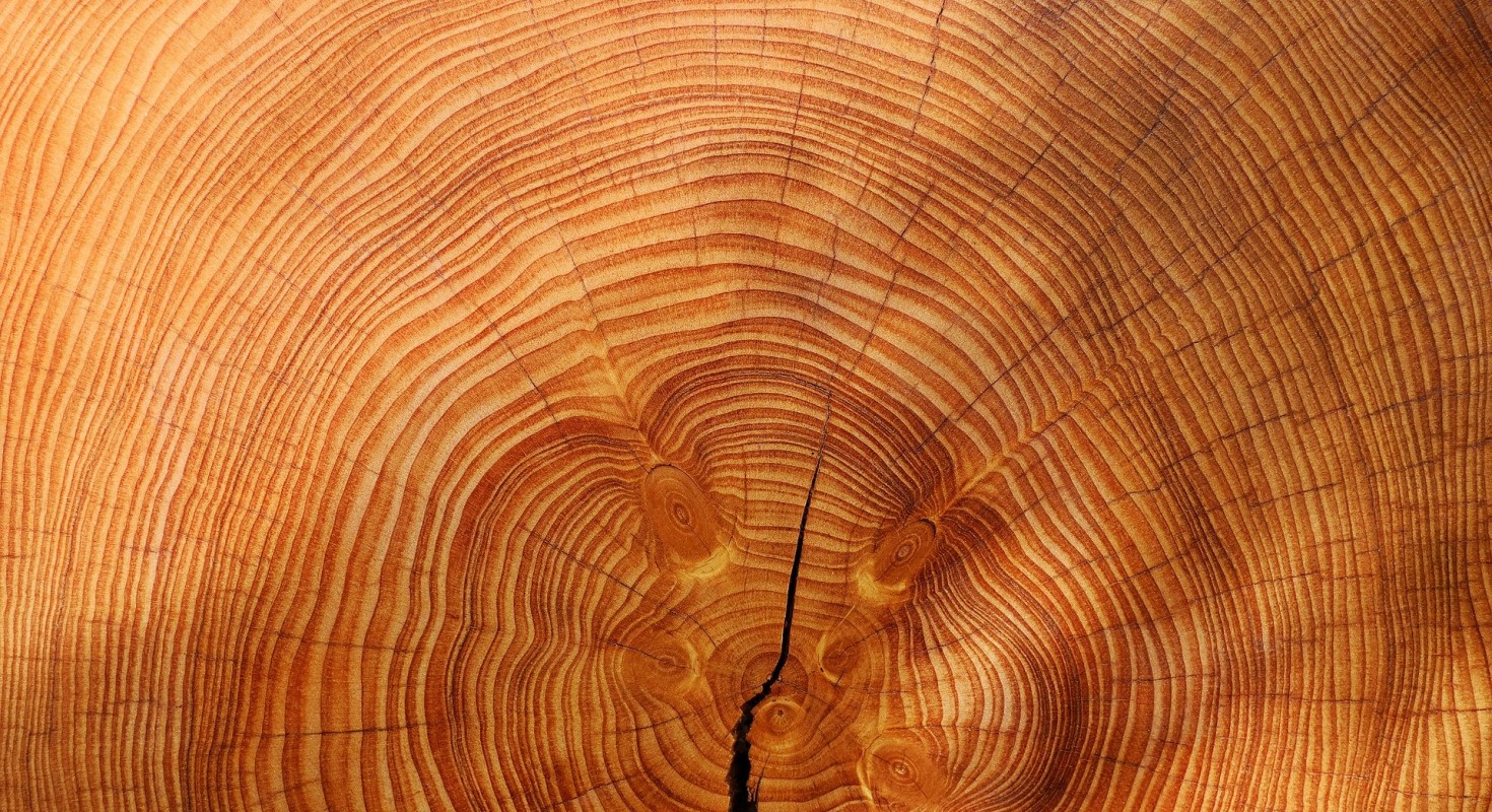 USDA Invests $74 Million in Wood Products Innovation to Boost Economy and Forest Health