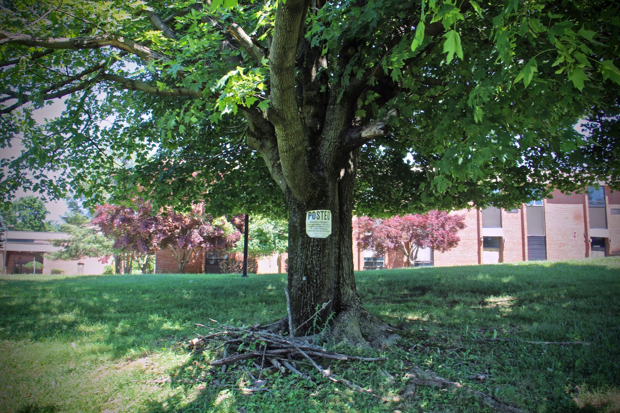 Delco Council at odds with Marple Twp., residents over Delco Woods plans