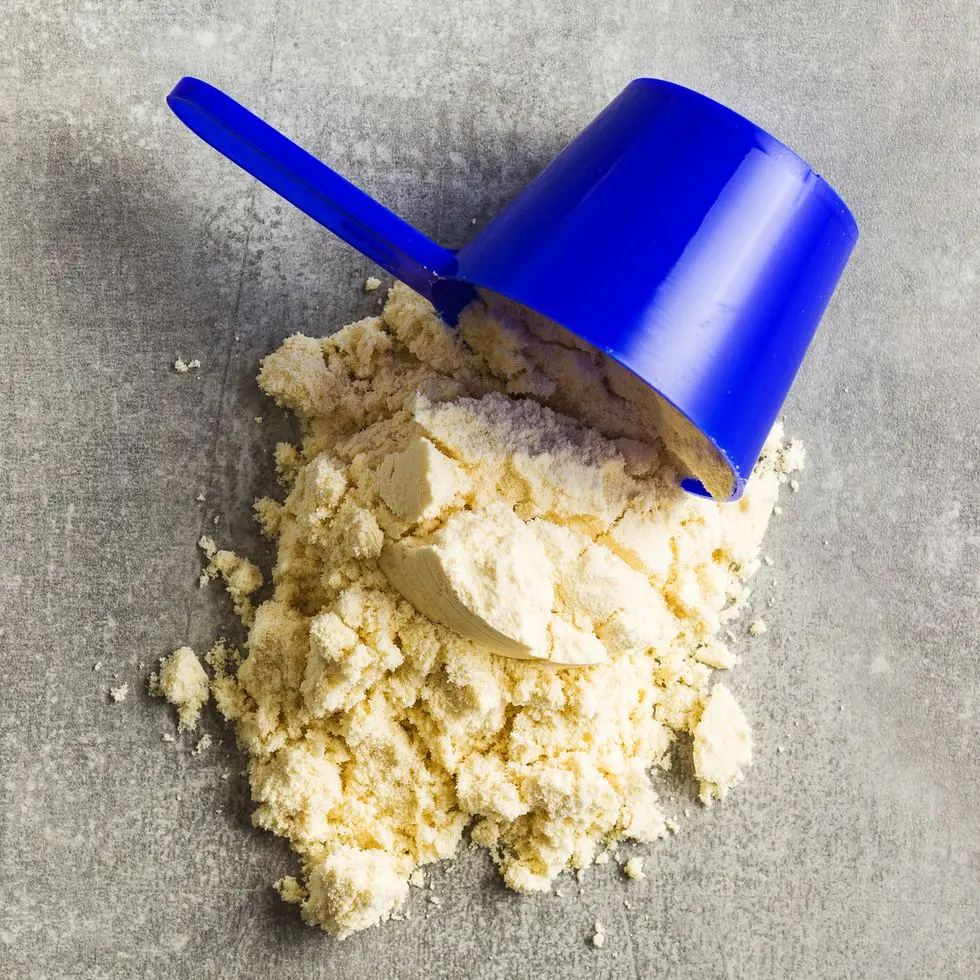 soy protein powder in scoop top view