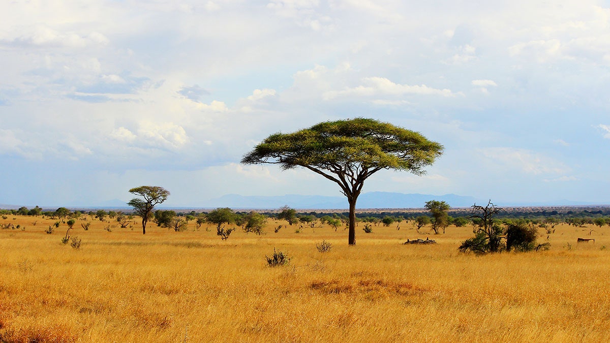 Marie-Claire Daveu on why fashion must be on the side of nature to survive