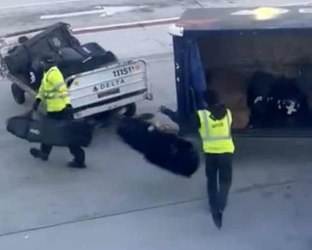 This video of two Delta bag-handlers launching a college golf team’s travel bags is every golfer’s worst nightmare
