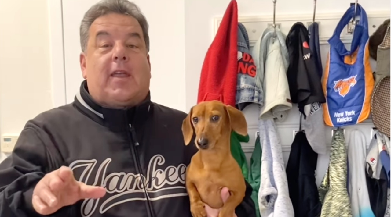 Actor Steve Schirripa Offers a Sneak Peak of What’s In His Dachshund’s Fashion Closet