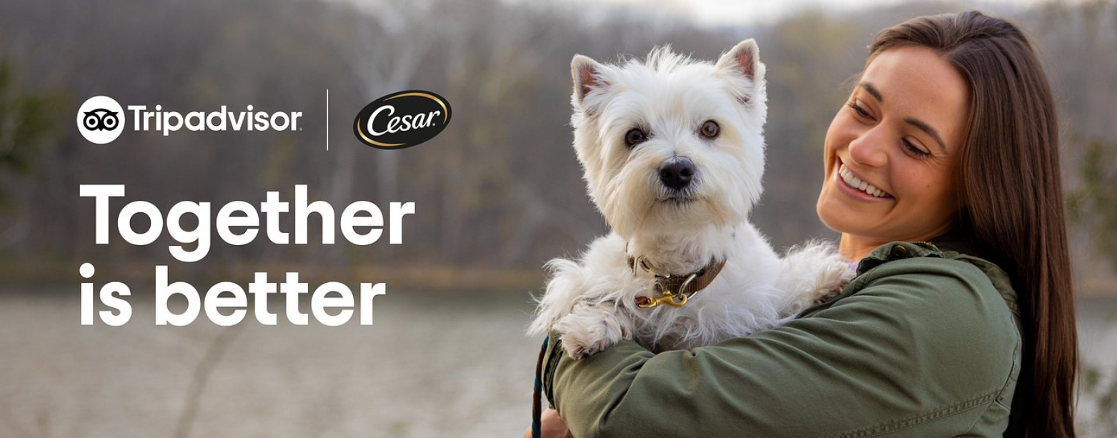 Mars Petcare and Tripadvisor team to make travel more pet-friendly