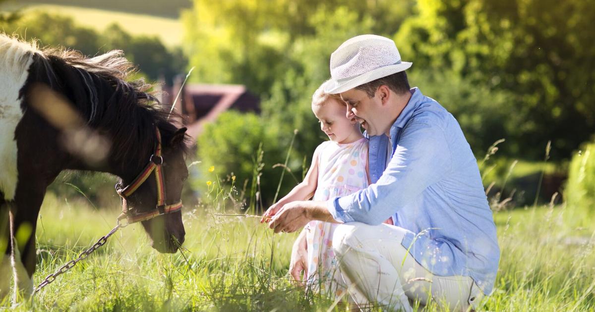 Illinois Extension offers strategies to address mental health challenges in ag communities