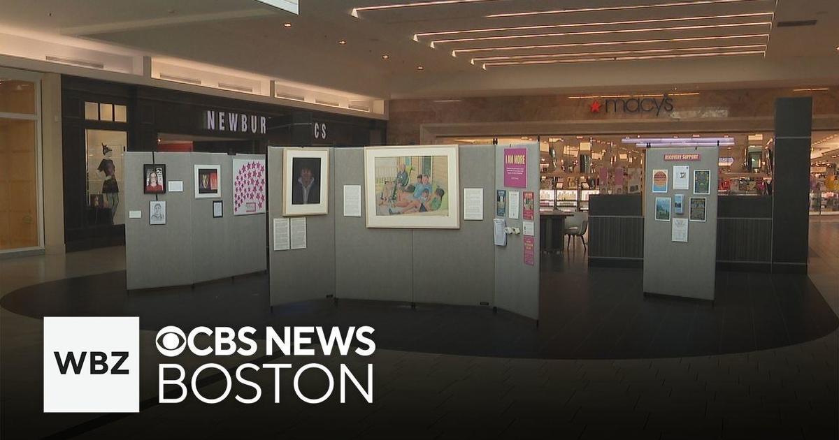 Northshore Mall art display focuses on mental health