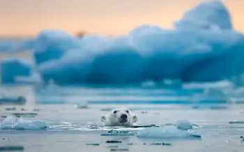 3. Svalbard