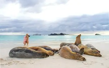 The Galapagos