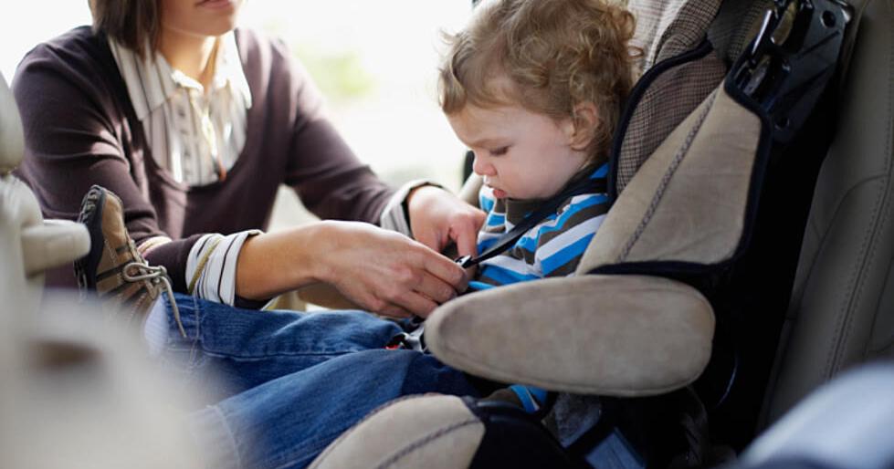 TN/GA join forces for child car seat safety check