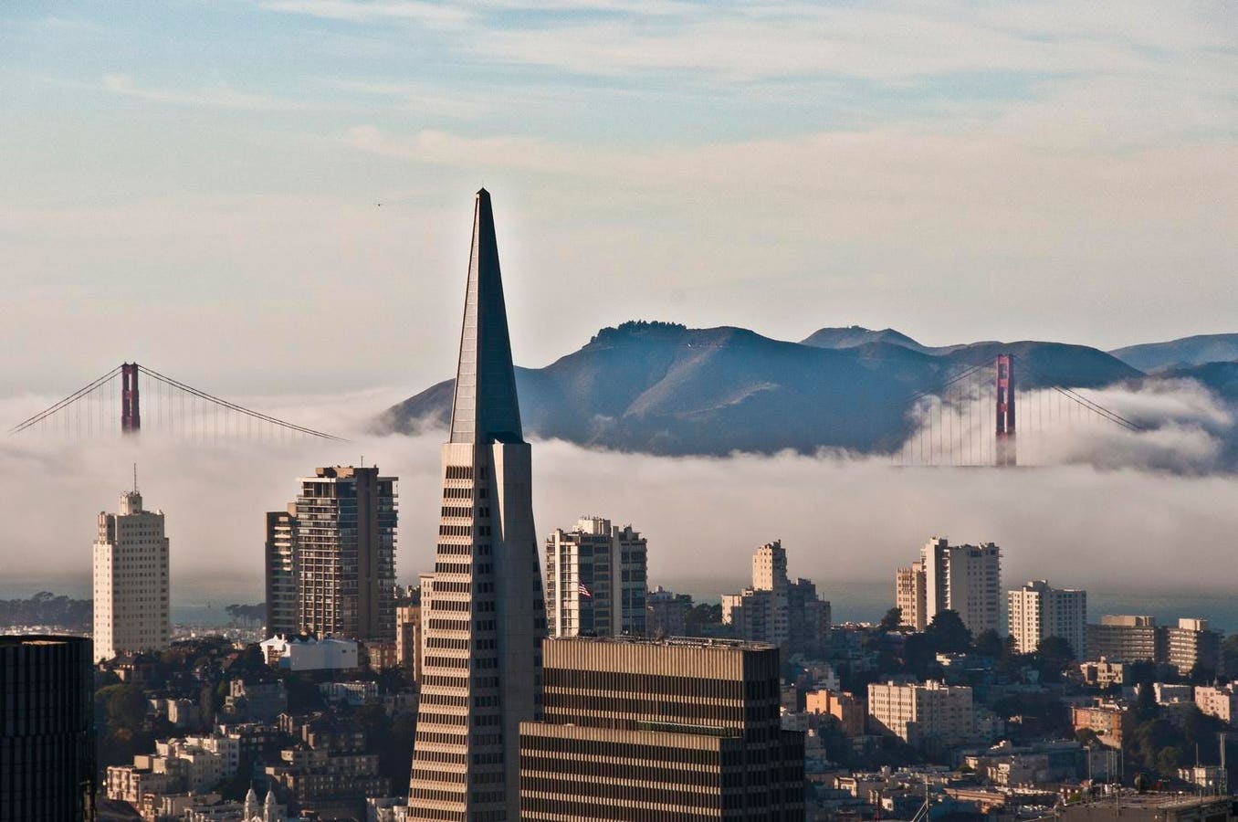 A Culture Of Innovation: Inside The Bay Area’s Thriving Tech Scene