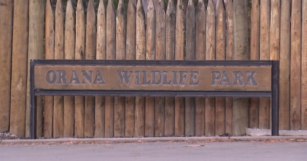 Anonymous informant raises concern about Orana Wildlife Park