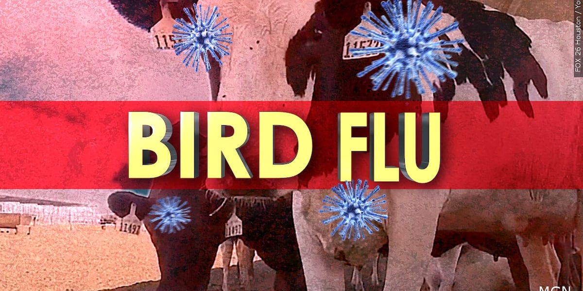 Health officials explain human-contracted bird flu, say to take precautions