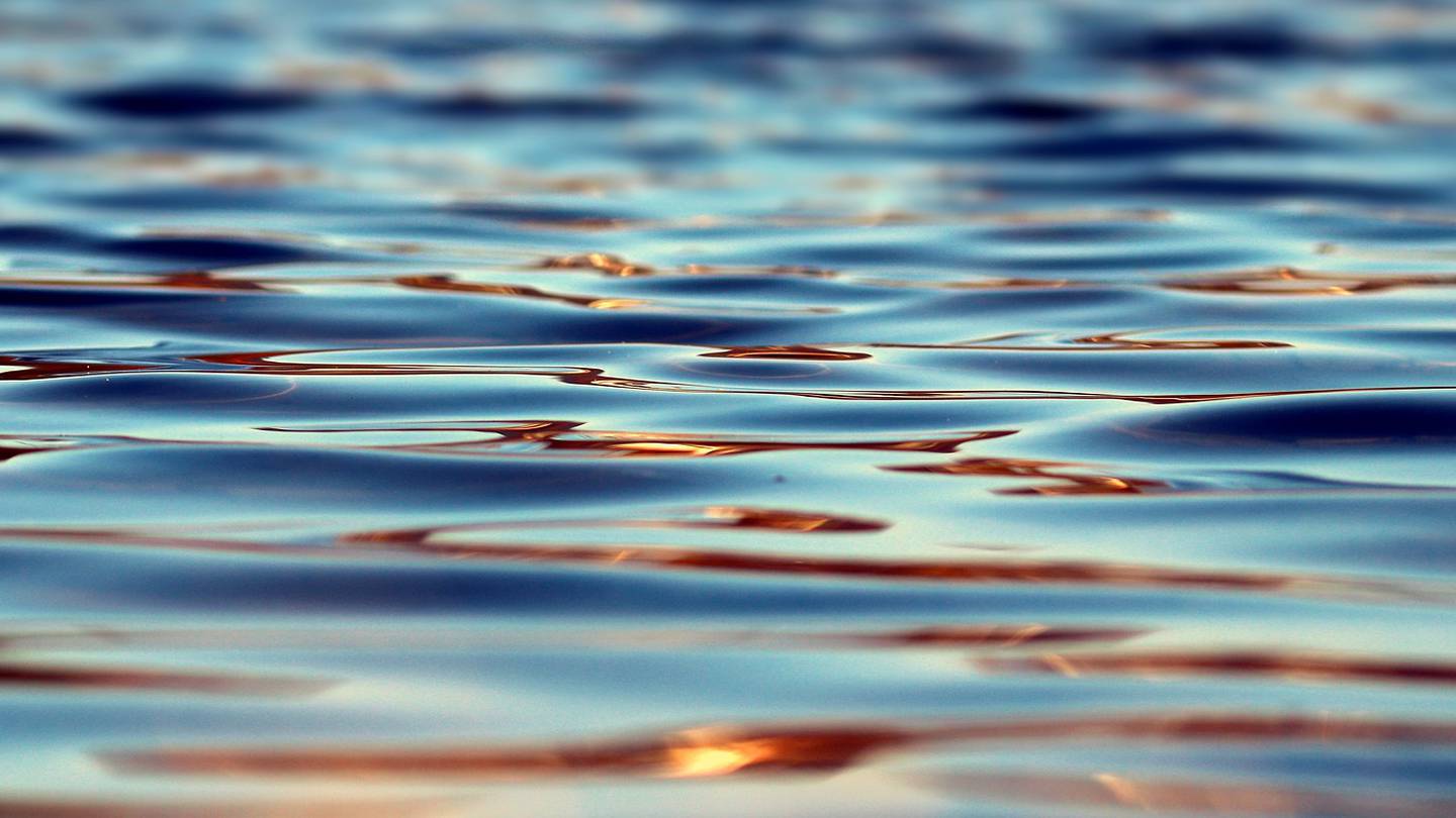 Bacteria bloom in Middlesex County lake prompts warning from health officials