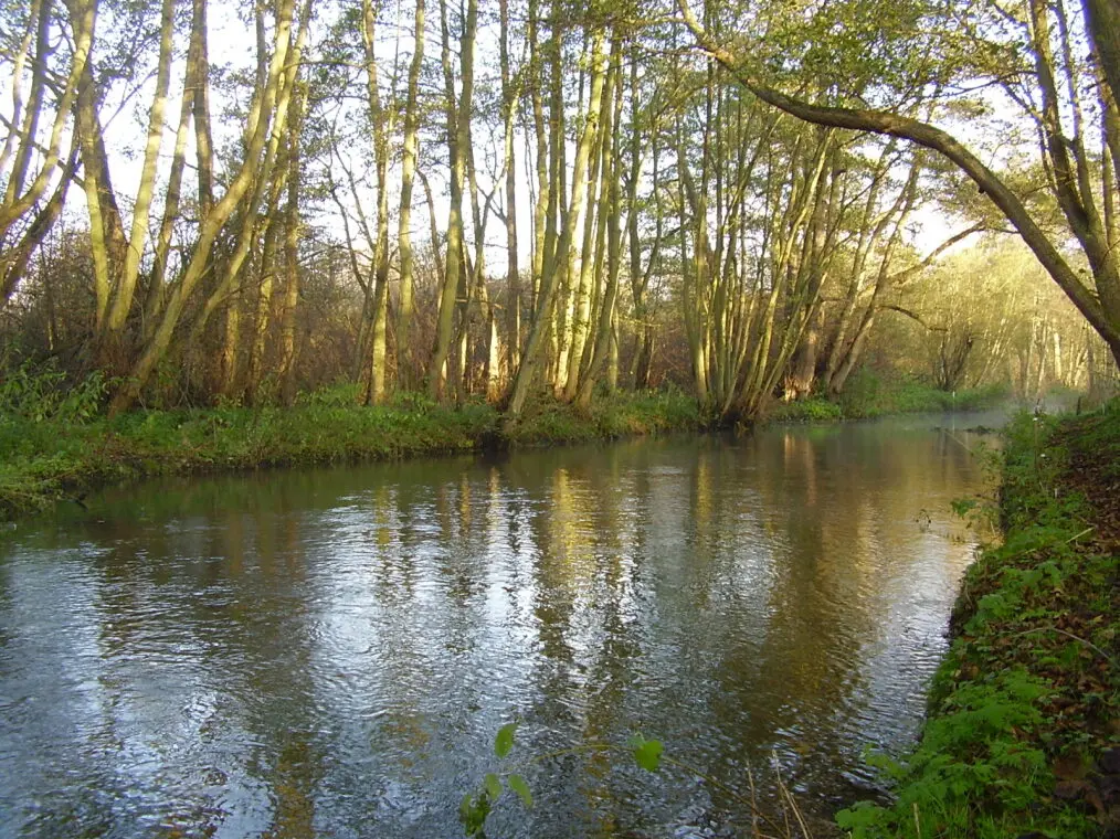 A section of the River Bure in Norfolk. (National Trust Images/ PA)