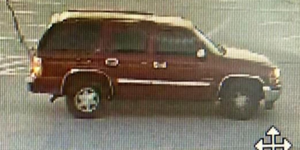 CATCH-A-CROOK: Republic police looking for suspects involved in multiple car break-ins